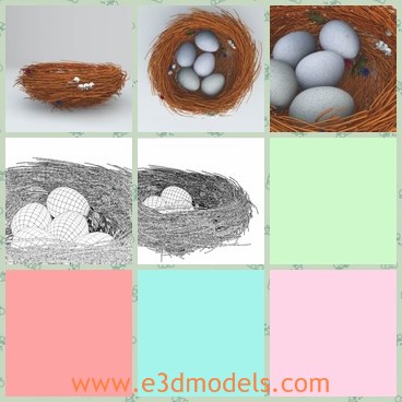 3d model the bird eggs - This is a 3d model of the bird eggs,which is stored in the nest.The eggs are UV mapped, and each has an individual set of diffuse, specular, bump and normal maps.