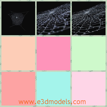 3d model the spider web - This is a 3d model of the spider web,which is common in the life.The model is made in high quality.