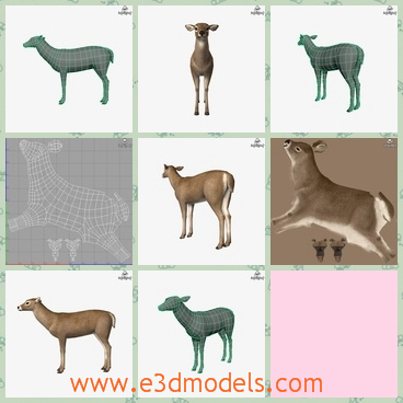 3d model a doe with long legs - This is a 3d model about a doe with long legs ,and the legs make them run fast in the wild.