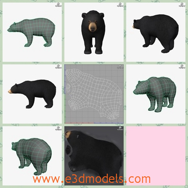 3d model a fat bear - This is a 3d model about a fat bear,which is big and black.The bear has heavy fur and the tail is short.