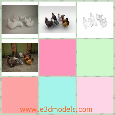 3d model of hens - This is a 3d model of six hens which are eating together. These hens have fat bodies and smooth feathers of different colors.