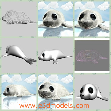 3d model the baby seal - This is a 3d model of the baby seal,which is cute and coming from polar areas.The hairs are obtained with plugin &quotHair and fur" included into the 3D Studio Max tools modifier.