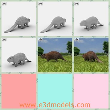 3d model the beaver - This is a 3d model of the beaver,which is a kind of animal in nature.The model is provided combined, all main parts are presented as separate parts.