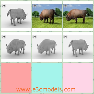 3d model the bison - This is a 3d modelof the bison in the Northern America,which is large and most of this kind of animals are lived in Europe.
