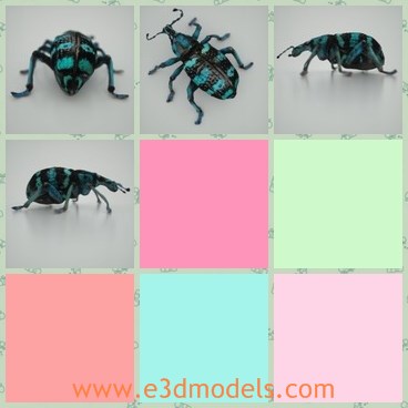 3d model the blue beetle - This is a 3d model of the blue beetle,which is made with six legs.The model is a common bug in nature.