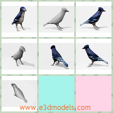 3d model the blue bird - This is a 3d model of the blue bird,which is the rare kind in the nature.The model is ready to be printed in a 3D printer.