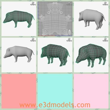 3d model the boar - THis is a 3d model of the boar,which is a kind of wild pig.The boar is wild and horrible.