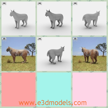 3d model the bobcat - This is a 3d model of the bobcar on the plain,which is fat and heavy fair.The model is created accurately, in real units of measurement, qualitatively and maximally close to the original.