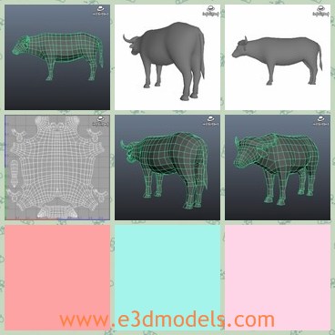 3d model the buffalo - This is a 3d model of the buffalo,which is made with two horns and a long tail.The animal is scaled according to the accurate original bull.