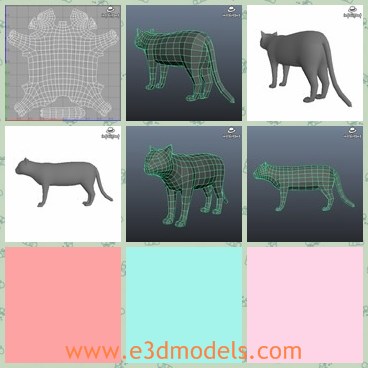3d model the cat - This is a 3d model of the cat,which is small and cute.The cat is the common animal in our family.