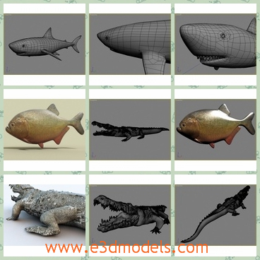 3d model the crocodile in the sea - This is a 3d model of the crocodile in the sea,which is big and great.The model is the big and white shark.