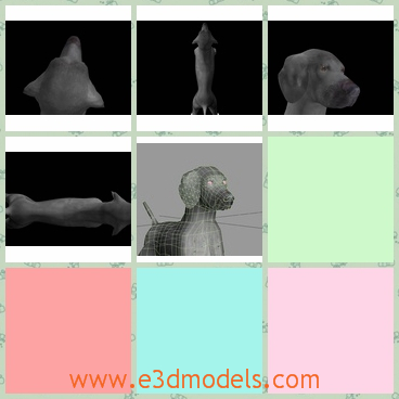 3d model the cute puppy - This is a 3d model of the cute puppy,which is lovely and made in high quality.The model is the traditional type.