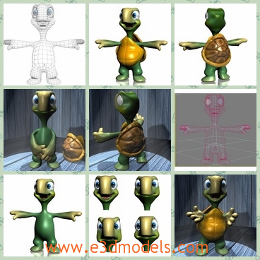 3d model the cute turtle - This is a 3d model of the cute turtle,which is fantastic and charming.The body is standing on the floor and the shell of the turtle is smooth.
