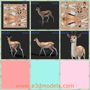 3d model the deer - This is a 3d model of the deer,which is made with horns on its head.The deer is so cute and rare.