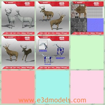 3d model the deer - This is a 3d model of the deer,which is fully rigged and textures. Has facial bones to contol lips, braw and eyelids. Great for games and animations.