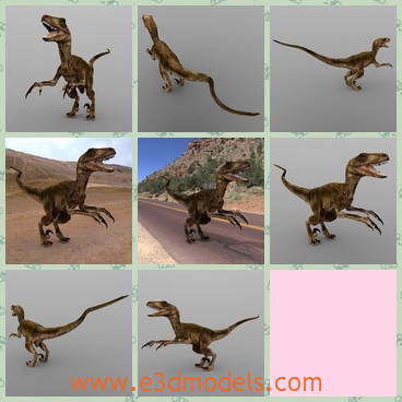 3d model the dinosaur with open mouth - This is a 3d model of the dinosaur with open mouth,which is small and ugly.the model is the raptor in the wild.