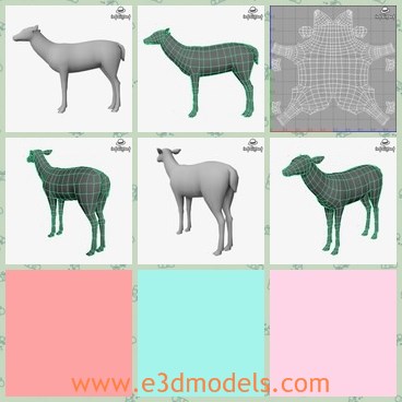 3d model the doe - This is a 3d model of the doe,which is a kind of deer in the forest.The model is so soft and rare right now.