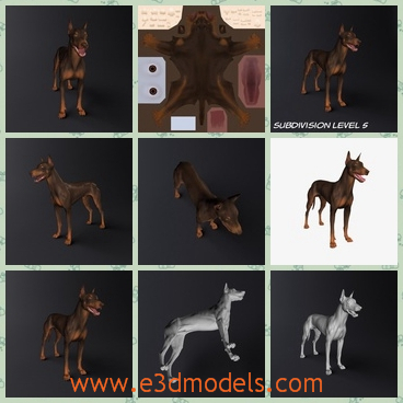 3d model the dog as a pet - This is a 3d model of the dog as a pet,which is large but fleshless.The pet is barking.