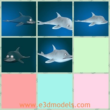 3d model the dolphin - This is a 3d model of the dolphin,which is a cartoon model.The model is cute and lovely,which is big and popular among kids.