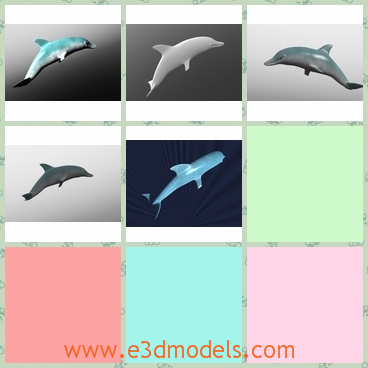 3d model the dolphin in the ocean - This is a 3d model of the dolphin in the ocean,which is cute and lovely.The model is made according to the real bases.