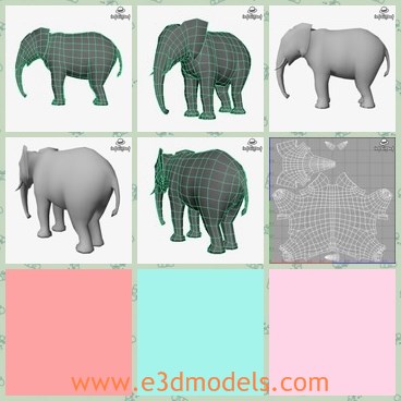 3d model the elephant - This is a 3d model of the elephant,which is large and heavy.The model has the strong legs and a long nose.