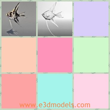 3d model the fish - This is a 3d model of the fish in the ocean,which is small and with special wings.The model is made with special materials.