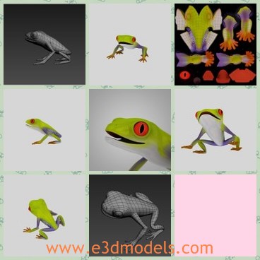 3d model the frog - This is a 3d model of the cartoon frog,which is small and cute.The frog has four legs and is very funny.