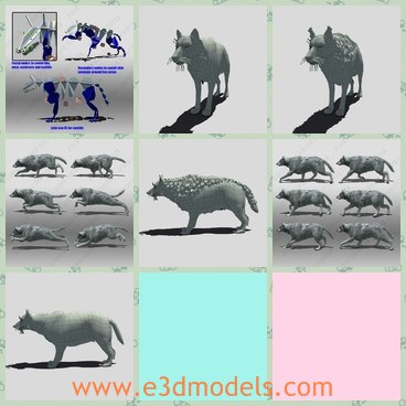 3d model the grey wolf - This is a 3d model about the grey wolf,which is animated strong.