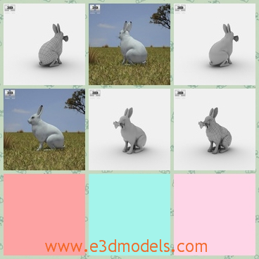 3d model the hare in the ground - This is a 3d model of the hare in the ground,which is big and cute and the hare is a kind of animal in the forest.