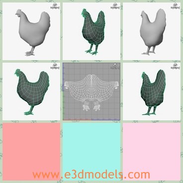 3d model the hen - This is a 3d model of the hen,which is the common poultry in the house.The hen is the female one,which produces eggs.