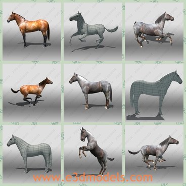 3d model the horse - This is a 3d model of the horse,which is rare and strong.The model has  facial bones to contol lips, braw and eyelids.