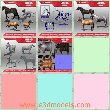 3d model the horse - This is a 3d model of the horse,which is big and rigged.The horse is strong and common.