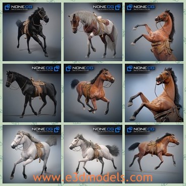 3d model the horse - This is a 3d model of the horse,which is the most popular type in the world.There is the saddles on its body.
