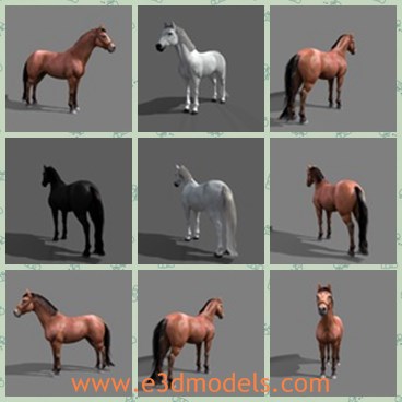 3d model the horse - This is a 3d model of the horse,which is strong and great.The model is completely UVmapped and smoothable, made with 3Ds Max.