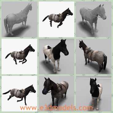 3d model the horse with saddles - This is a 3d model of the horse with saddles,which is fully rigged and contain a baked skeleton and animationrunning.Also three of the models have saddles which use 512*512 textures with all maps.