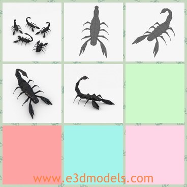 3d model the insect - This is a 3d model of the insect,which has eight legs and a long tail.The model is scorpion,most of which is poisonous.