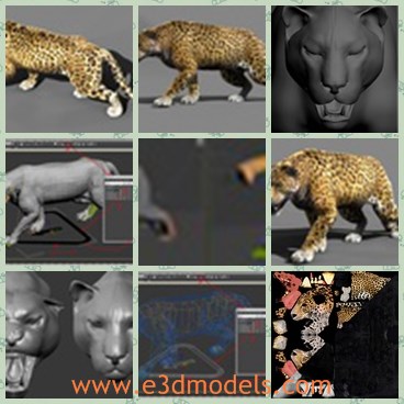 3d model the jaguar - This is a 3d model of the jaguar,which is a kind of shtrong animal in nature.The model is presented with great muscle.