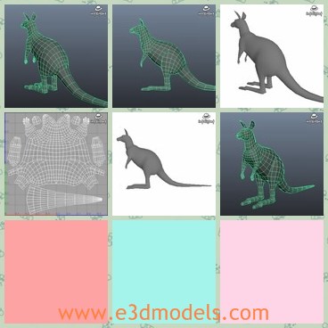 3d model the kangaroo - This is a 3d model of the kangaroo,which is the common and special animal in Australia.The animal jumps usually instead of walking.