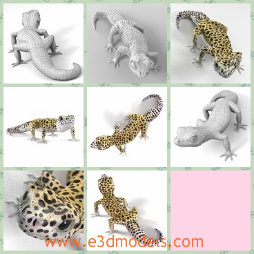 3d model the leopard - This is a 3d model of the leopard,which is a kind of animals in nature.The leopard has a clean quads based on geometry and it is exported. The model can be subdivided into your needs.
