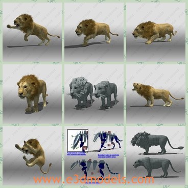 3d model the lion - THis is a 3d model of the lion,which is animated and textured.The model is strong and has sharp teeth.