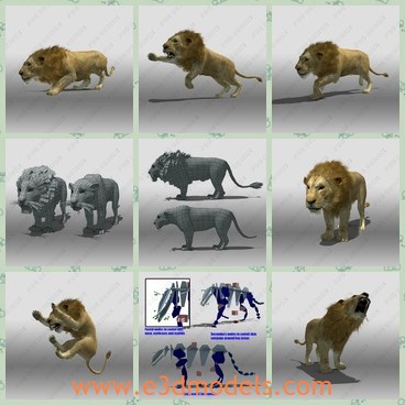 3d model the lion - This is a 3dmodel of the lion,which is the common powerful animal in nature.The lion is large and strong.