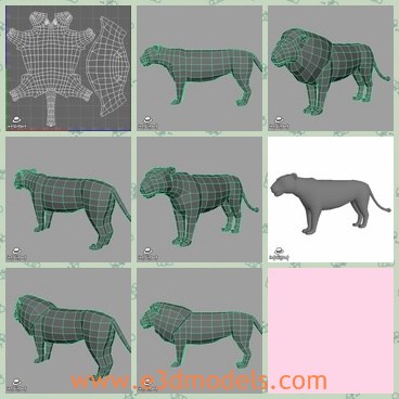 3d model the lion - This is a 3d model of the lion,which is big and horrible.The lion is similar to the real one.