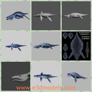 3d model the liopleurodon - This is a 3d model of the liopleurodon,which is a kind of sea animal.The model is big and fat,which is a monster for other sea creatures.