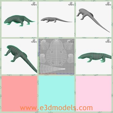 3d model the lizard - This is a 3d model of the lizard,which is small and accurate.The animal is so cute and small that people always omit them.
