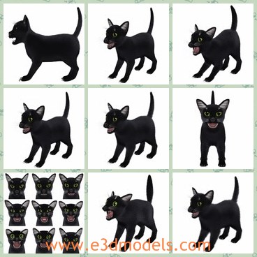 3d model the lovely cat - This is a 3d model of the cute and lovely cat,which is more realistic face and fur that appears more natural. Body flexibility and lightning are also improved.Fully rigged and animated.