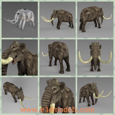 3d model the mammoth elephant - This is a 3d model of the mammoth elephant,which is large and heavy.The model has strong legs and sharp teeth.