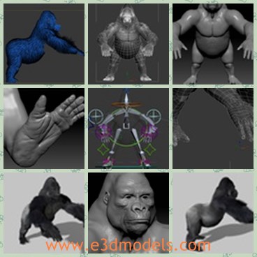 3d model the monkey king - This is a 3d model of the monkey king,which is a gorilla in the animal field.The model is st a base animation.