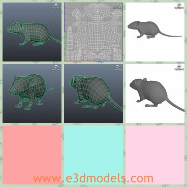 3d model the mouse - This is a 3d model of the mouse,which is small and always bite the food.
