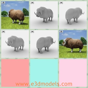 3d model the ox - This is a 3d model of the ox,which is special and fat.The model has two spiral horns and short legs.