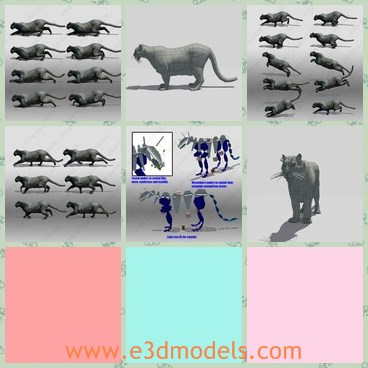 3d model the panther - This is a 3d model of the Black Panther fully rigged and textures. Has facial bones to contol lips, braw and eyelids and claws.